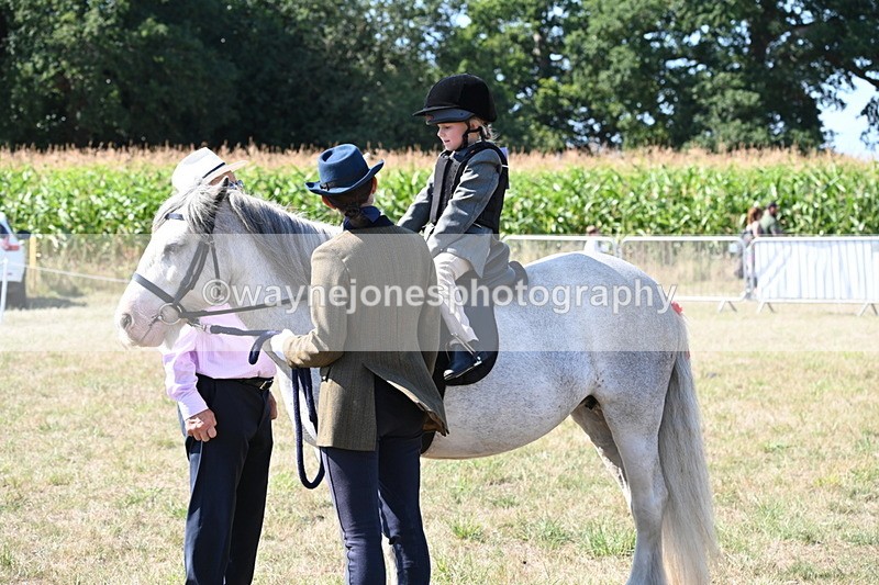 WJ6_7903 - Class 36 Lead Rein