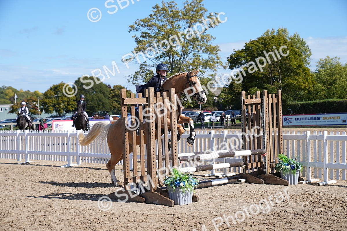 SBM_04860 - J56 - Clear Round 70cm