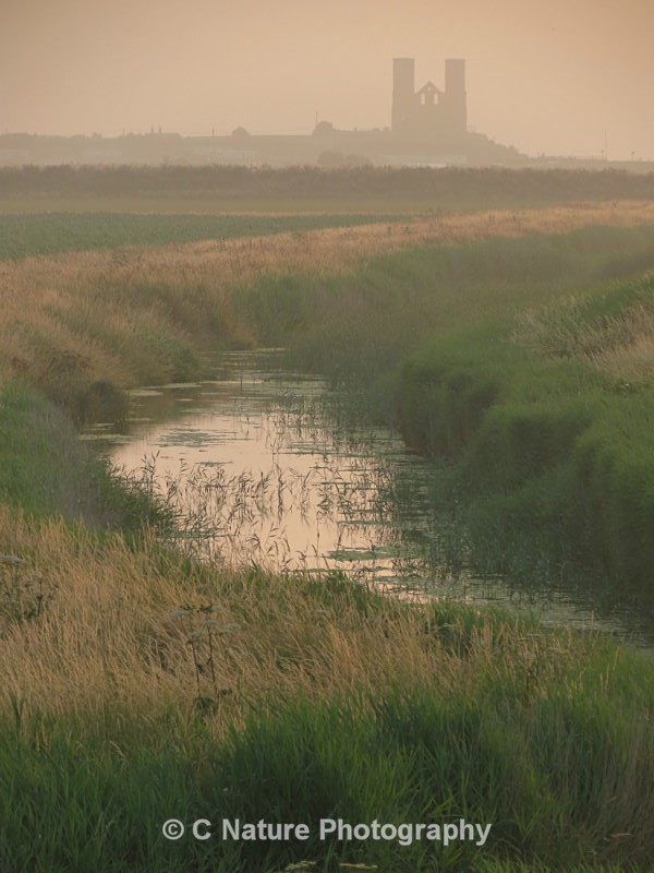 Reculvar Towers - Country