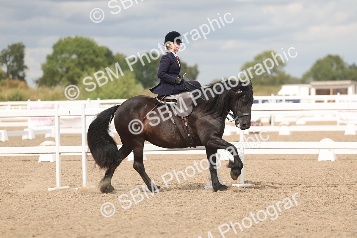 SBM_06374 - Class 22 - SSA - Equitation