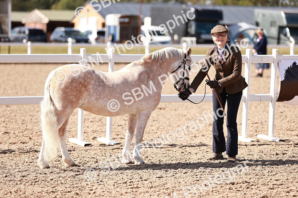 SBM_22904 - Class 706 - IH Veteran