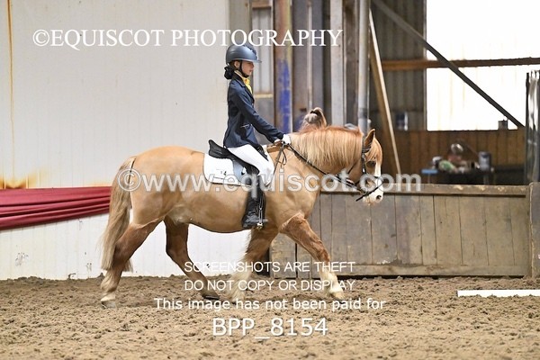 BPP_8154 - INTRO 2