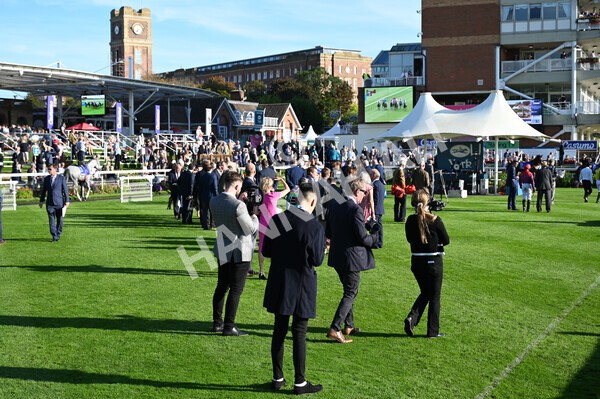 yr08102021r4-4 - Race 4 3.50pm Casumo Dare To be Different Handicap