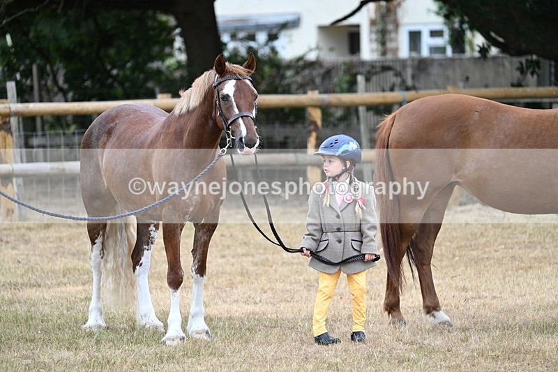 WJ7_8526 - Class 4 Prettiest Mare up to 14.2hh