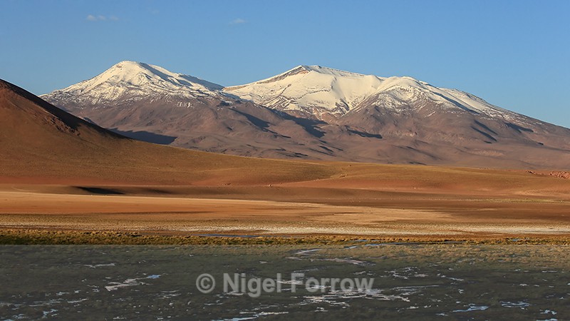 Cerro Tocorpuri, late afternoon, Chile - Chile