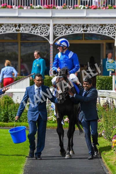 290723-Race 3-Alflaila-0572 - Race 3 3.15pm Sky Bet York Stakes (Group 2)