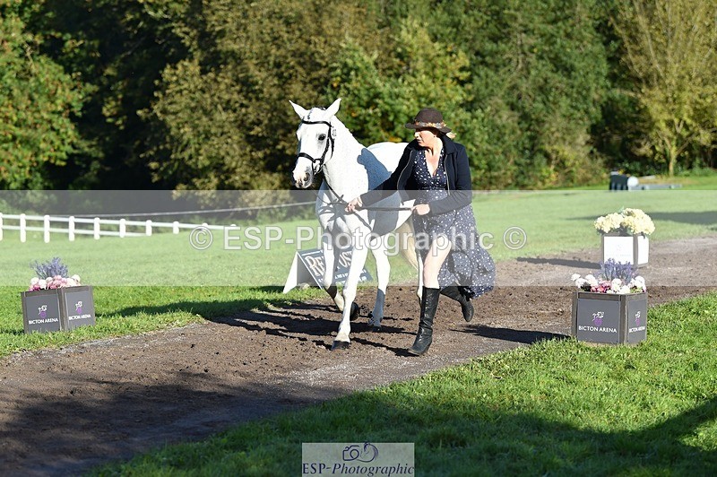 231022-095932-22166 - 403-KILLEA.LARK.GIRL-Joanna.Jones-TrotUp+SJ