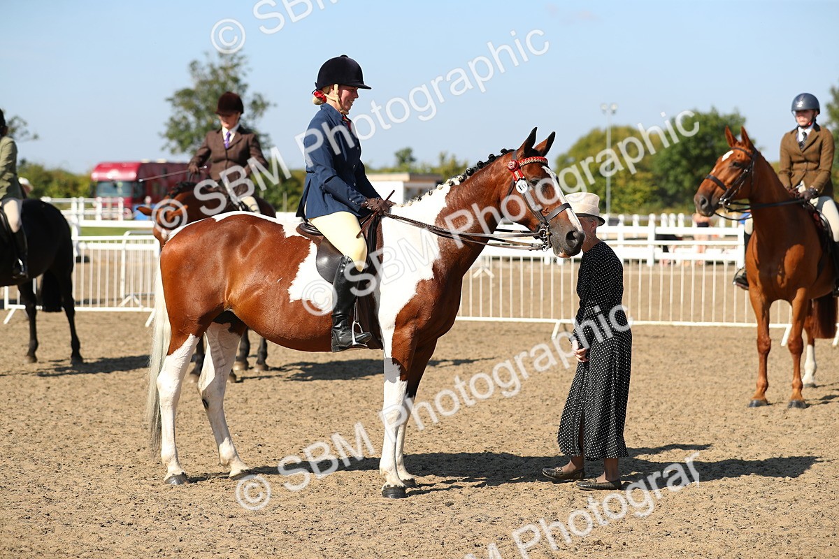 SBM_02284 - Class 43 Ridden Competition Horse/Pony