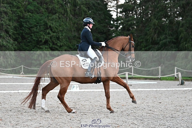 231110-164028-02726 - Cls 14 FEI Grand Prix