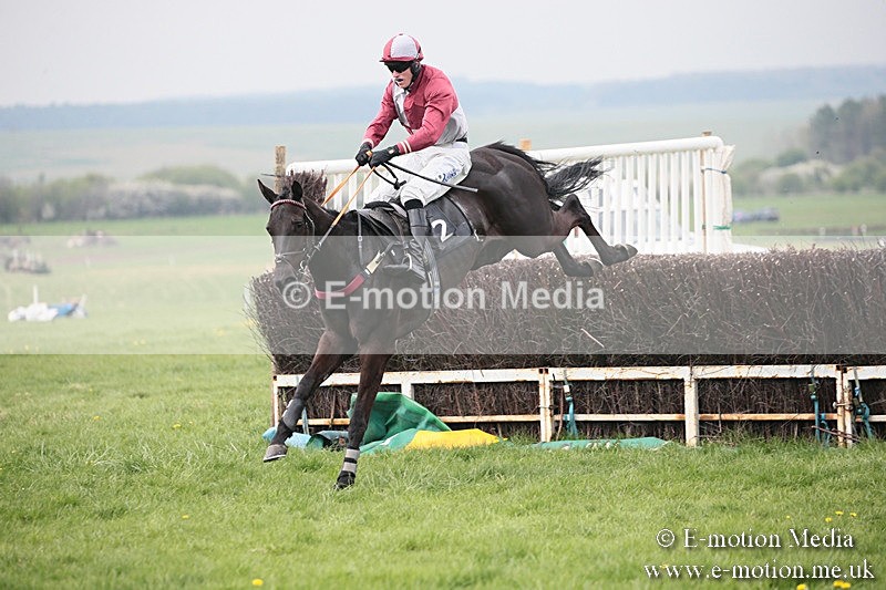 PtP 210418 113 - South & West Wilts Point-to-Point Larkhill 21/04/18