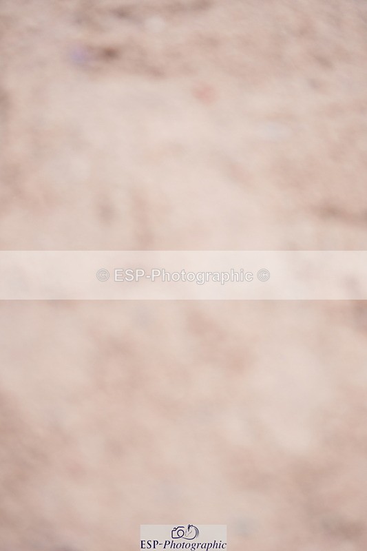 240804A-113252-10634 - Cls 43 5 Yr Old Champs