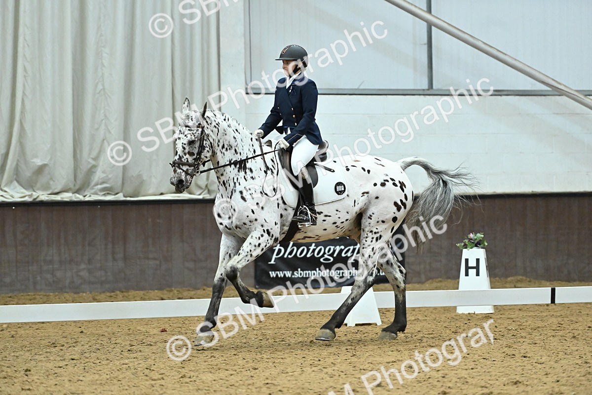 SBM_007514 - Class 81 - Novice 3