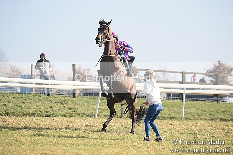 PtP 230219 23 - Vine & Craven Point-To-Point - Barbury 23/02/19