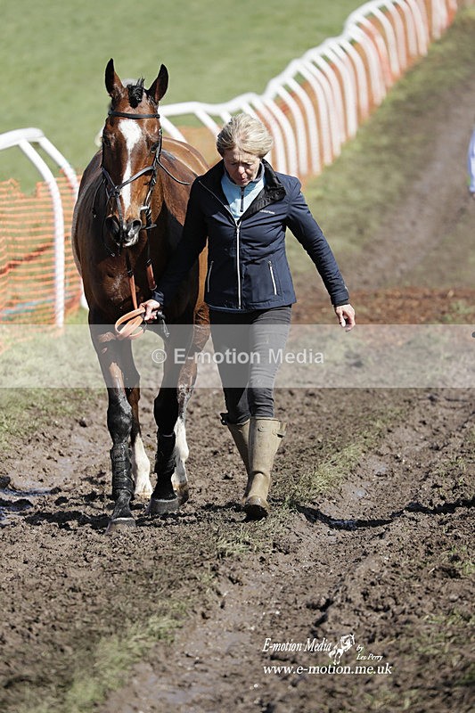 PtP 100423 537 - Old Berkshire Point-to-Point Lockinge 10/04/23