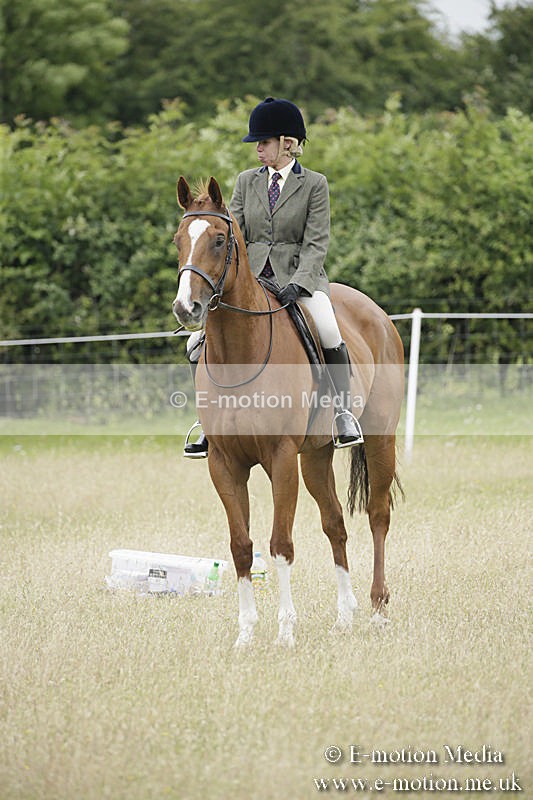 B230619-0881 - Bourne Valley Riding Club Summer Show 23/06/19