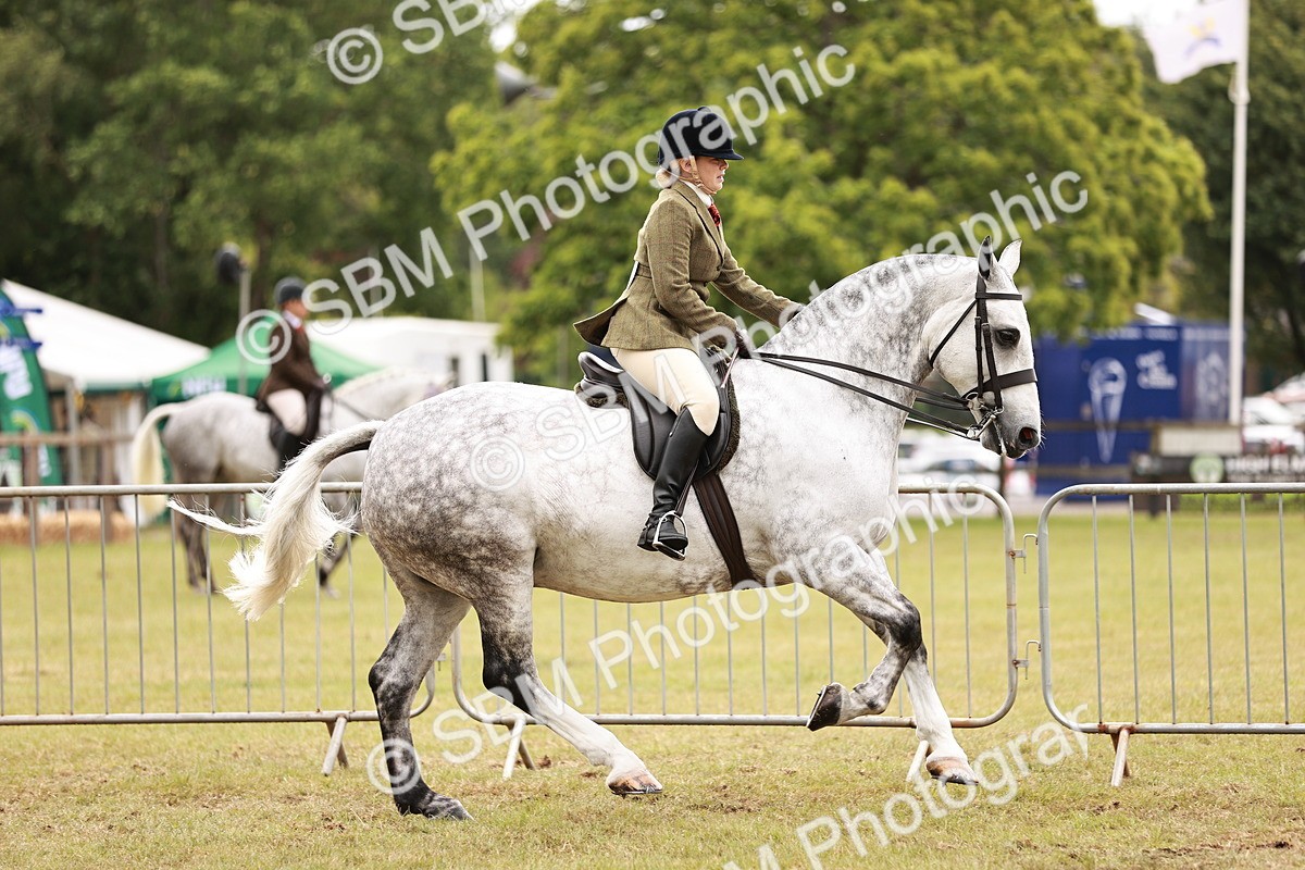 SBM_13009 - Class 85-87 - RIHS Cobs