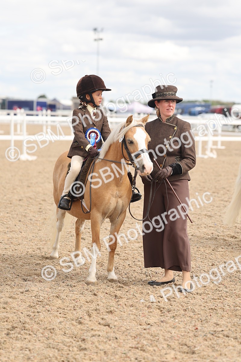 SBM_15836 - Class 309 - Lead Rein Pony