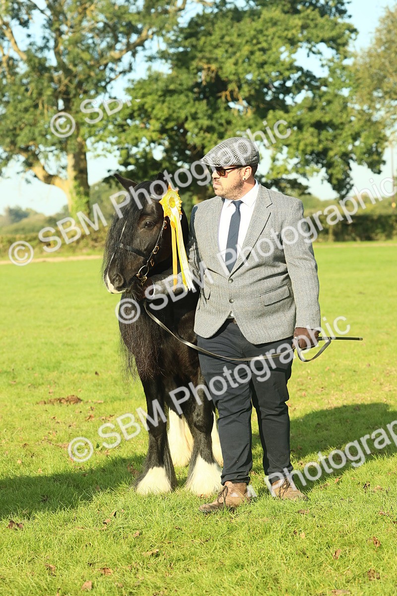 SBM_58642 - S37 - Starters In Hand Showing