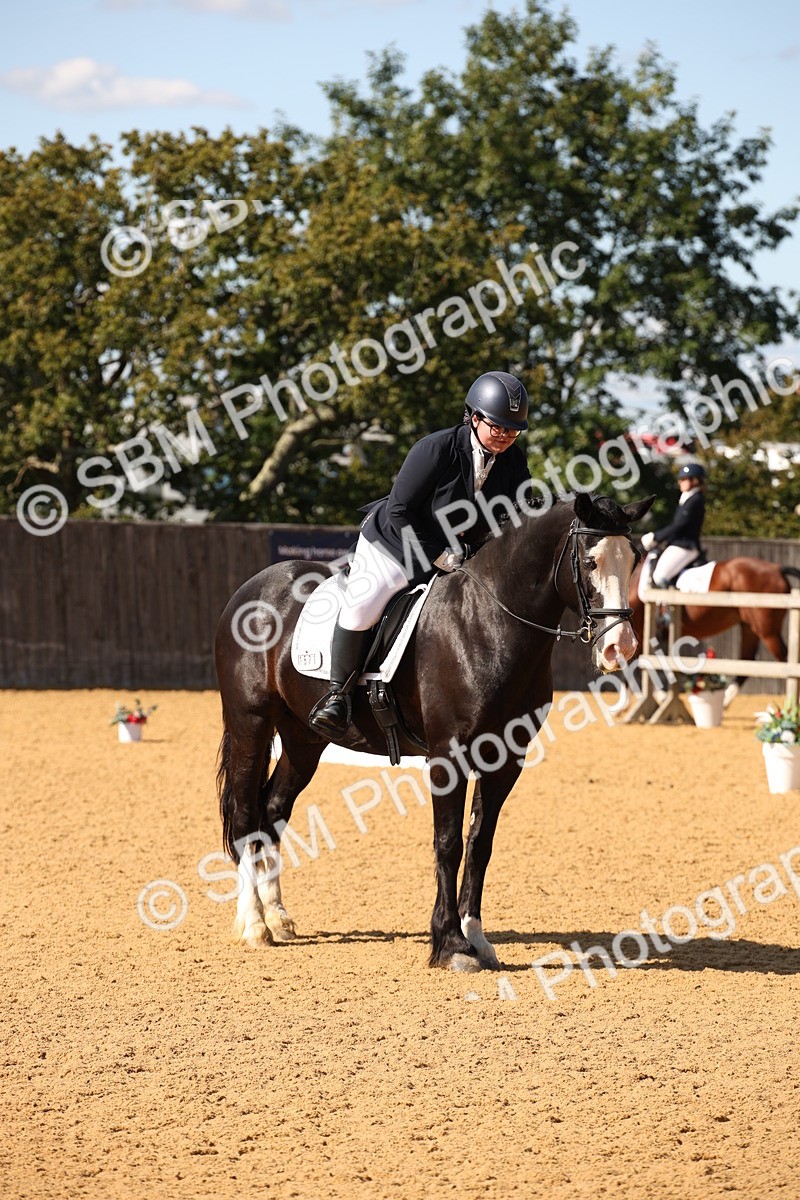 SBM_24241 - D5 - Small Tour Championship - Intro C