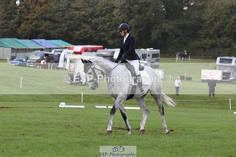 231019-154203-04995 - 557-KILBALLYBOY.SURPRISE-Courtney.Romcke-DR