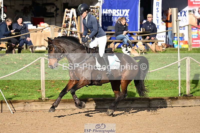 251024A-101131-06347 - B-131-Gemma.Gurvidi