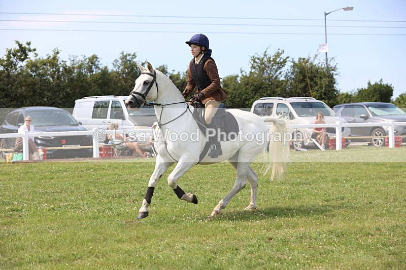 JPP_3609 - Class 23: Working Hunter 80cm