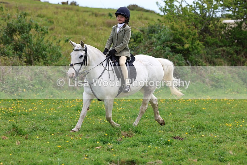 3E7A1559 - Class 8: Ridden Veteran Junoir and Senior