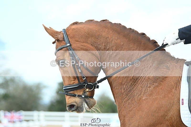 250403-101031-01247 - 194-fiona.bigwood-Leroy