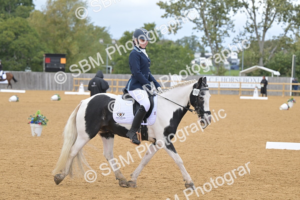 SBM_11041 - D3 - Small Tour Championship Intro 3