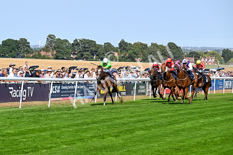 130826-Race 4-Shazani-9071 - Race 4 15.45pm Connexin Super Fast Sprint Handicap