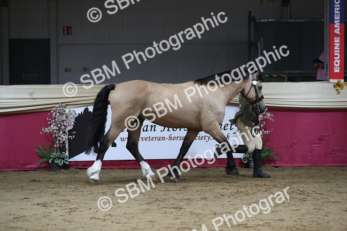 SBM_06318 - Class 9R Regional- IH Pre Vet