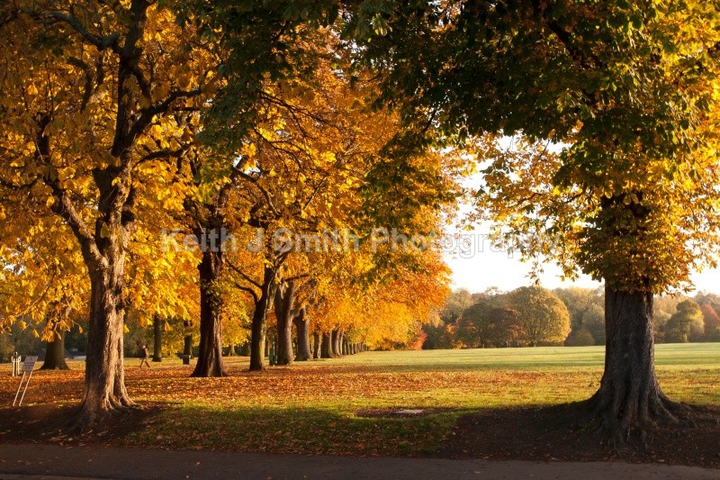 KJS_5771 - Abington Park & Northampton Town.