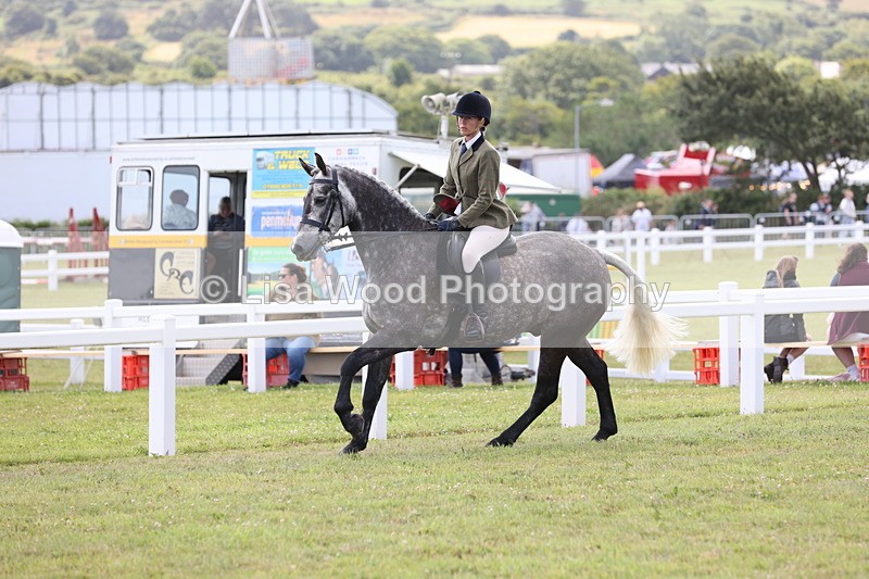 JPP_1446 - Class 17: Cornish Combination Open