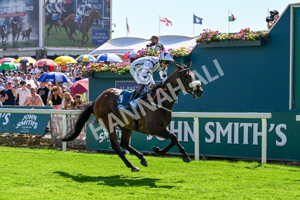 120725-Race 4-Al Qareem-0346 - Race 4 3.45pm John Smith's Silver Cup Stakes