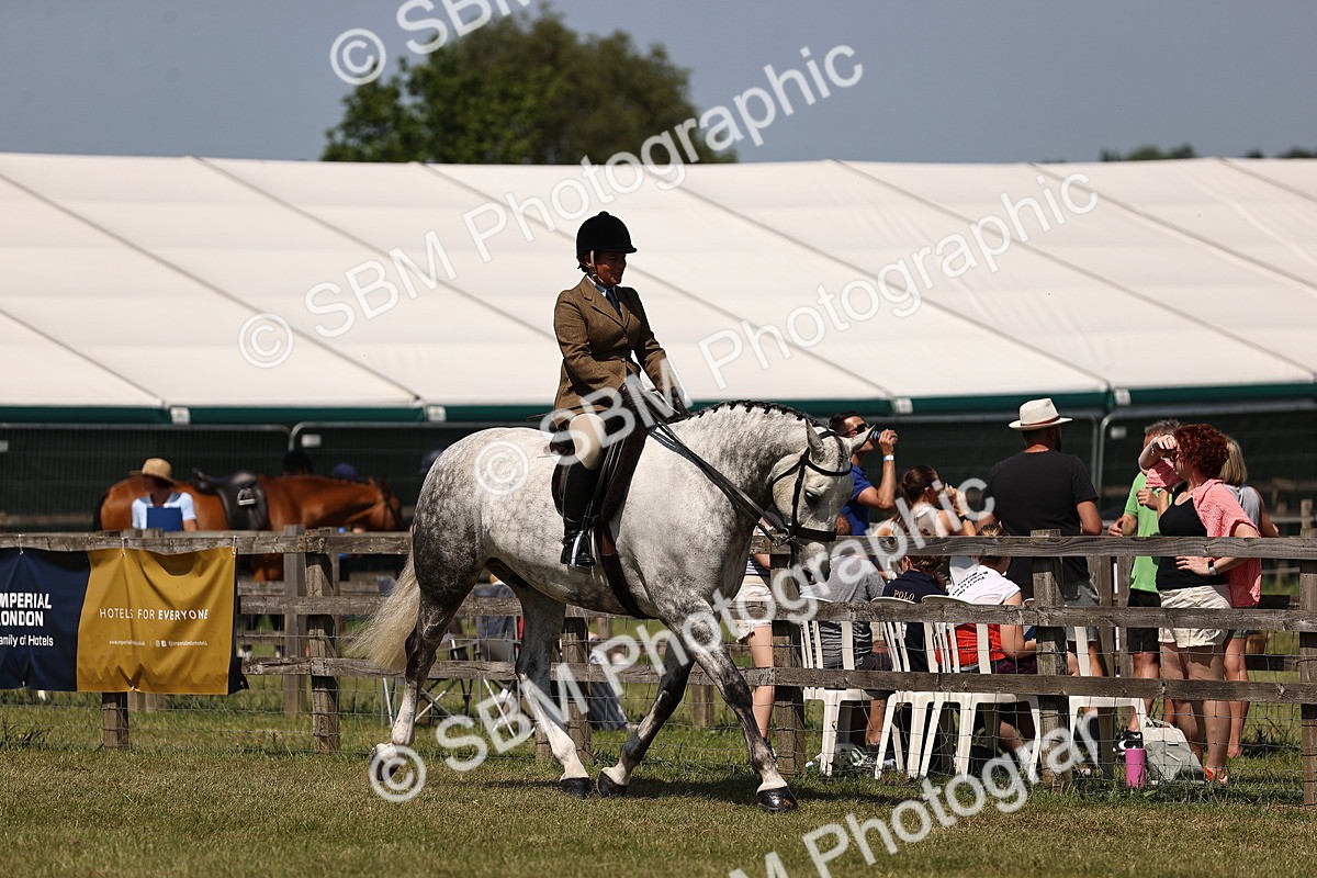 SBM_17701 - Class 81-83 - TSR Ridden Amateur of the Year - Horses