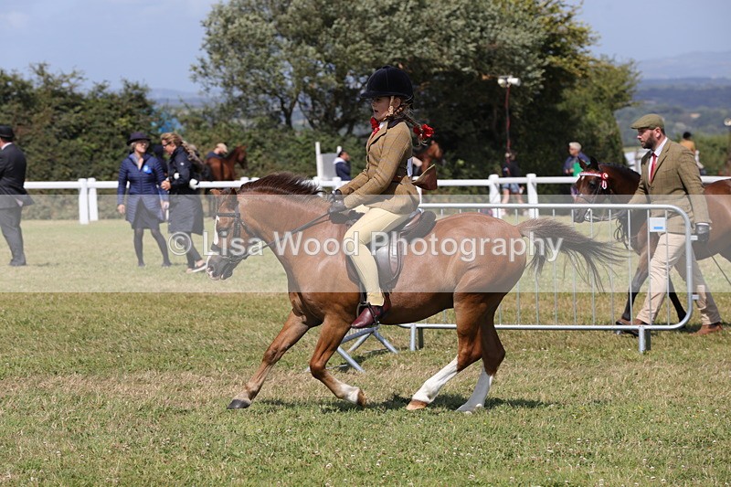 1X9A5418 - Class 37: NPS M&M First Ridden