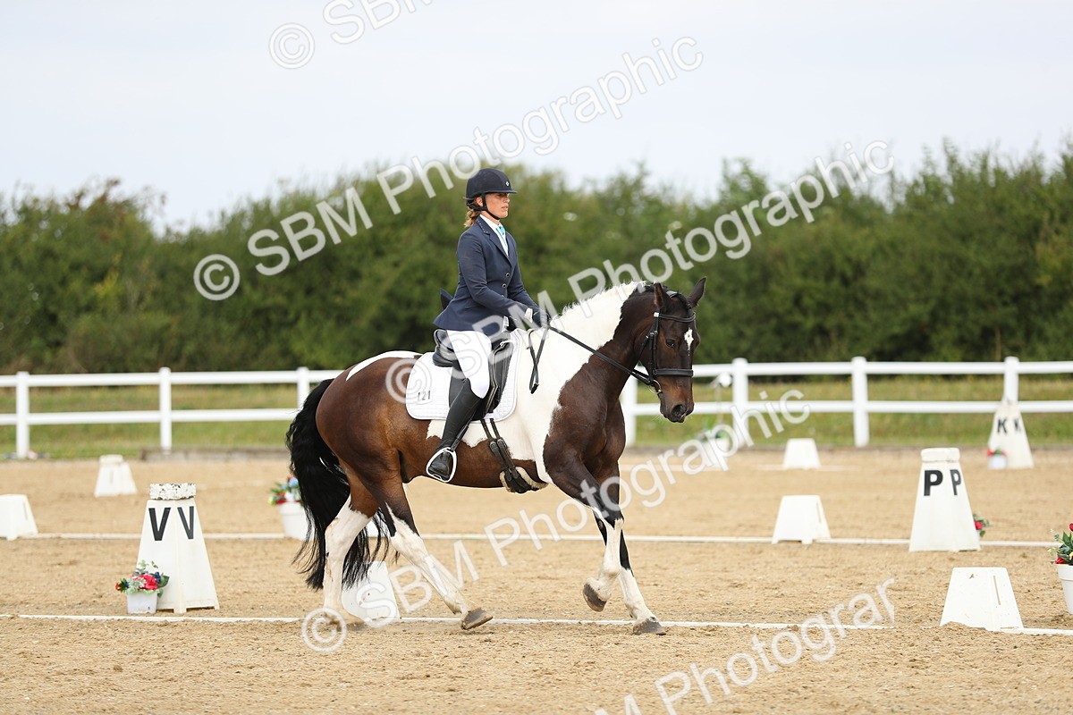 SBM_016391 - Class 13 - Novice 23 - 11.25-12.35