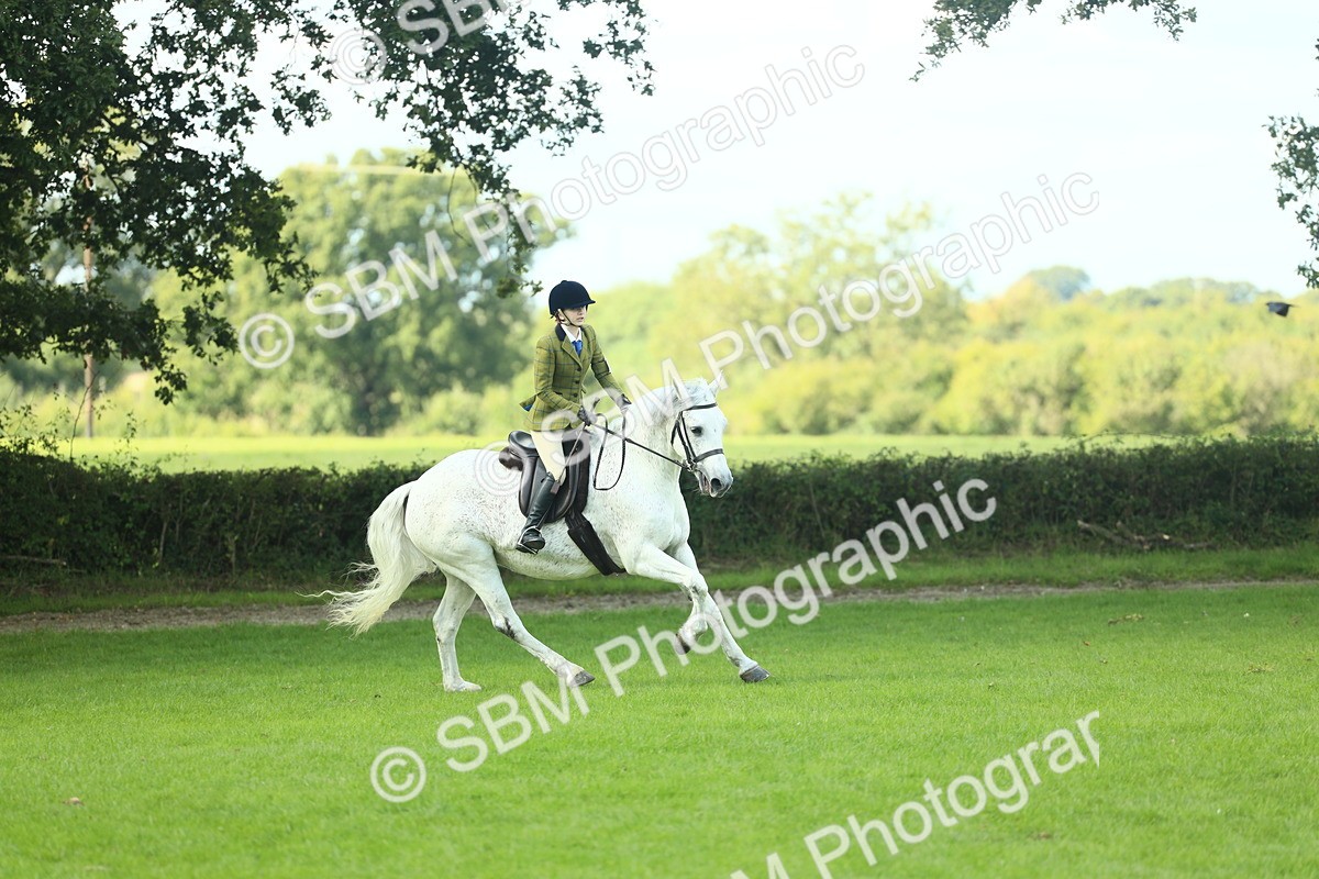 SBM_43036 - S30 - M&M Working hunter Pony