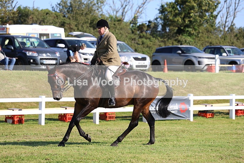 3E7A5451 - Class 2: Rising Star Large Hack/Riding Horse