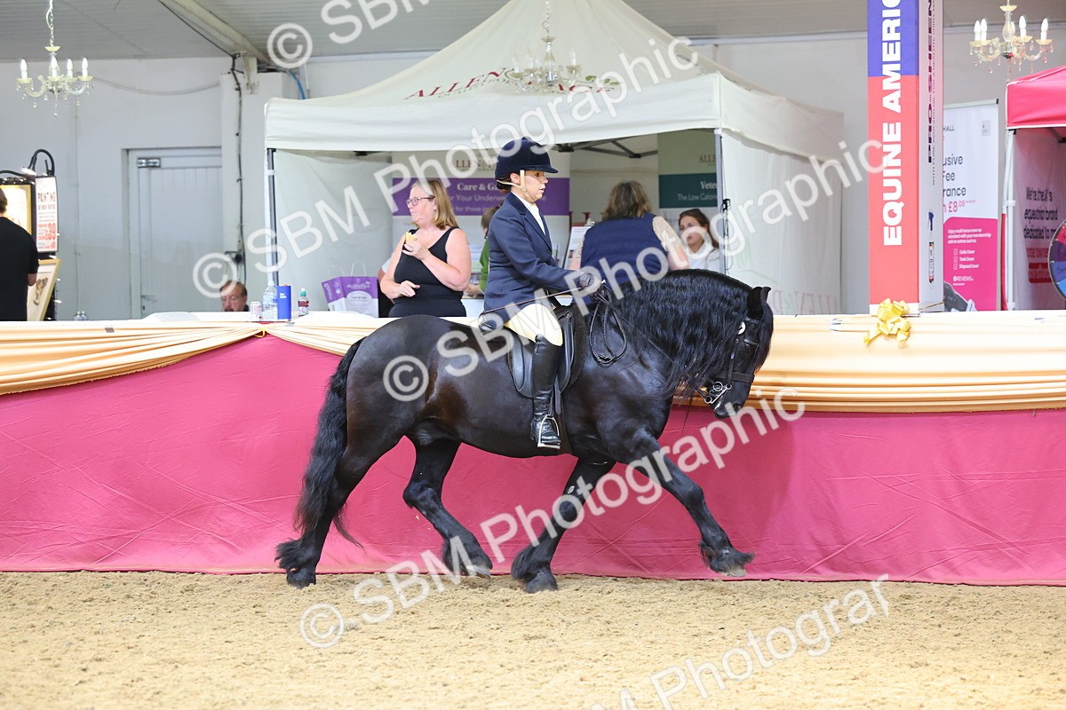 SBM_23879 - Class 905 - Supreme Final - Ridden Veteran