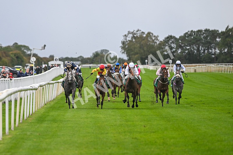 150925-Race 2-Rum Therapy-2352 - Race 2