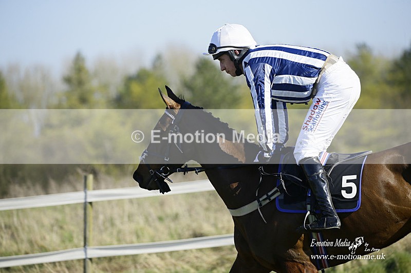 PtP 270222 16 - South & West Wilts Point-to-Point Larkhill 27/02/22