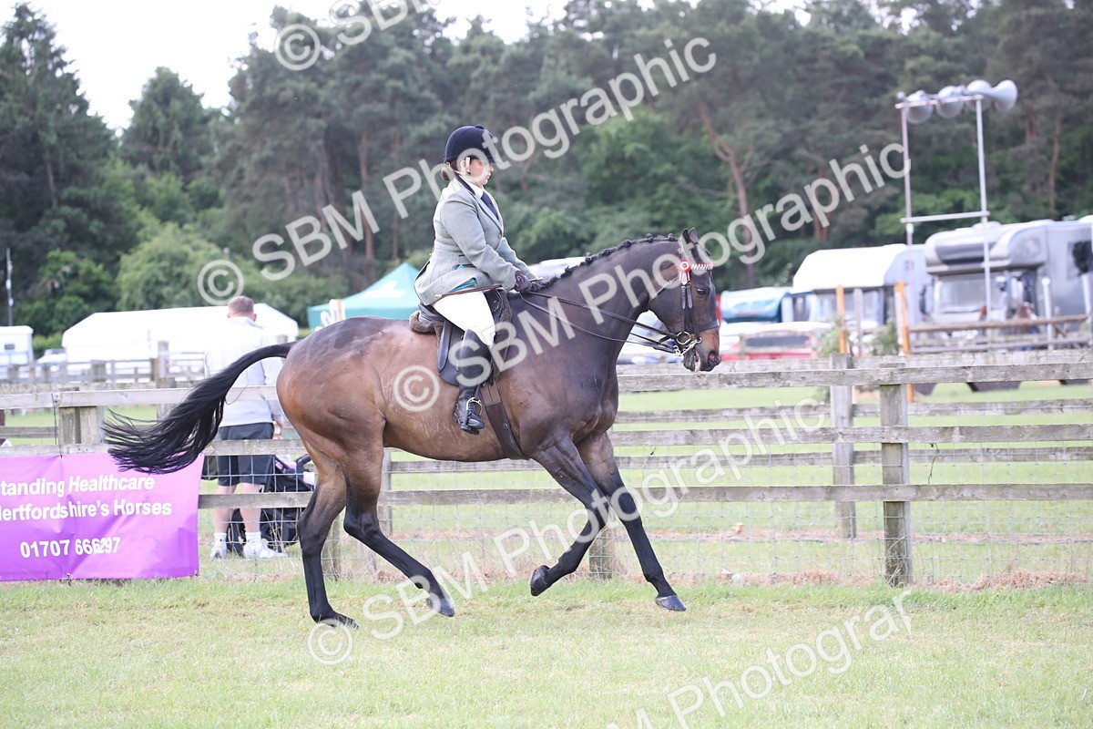 SBM_14187 - Class 113-114 - Retraining of Racehorses Ridden