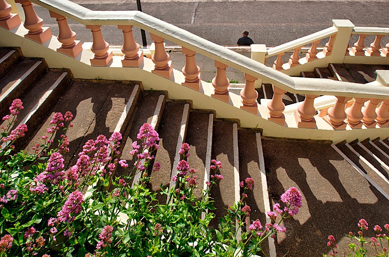 Valarian on the steps at Teignmouth - Teignmouth and Shaldon
