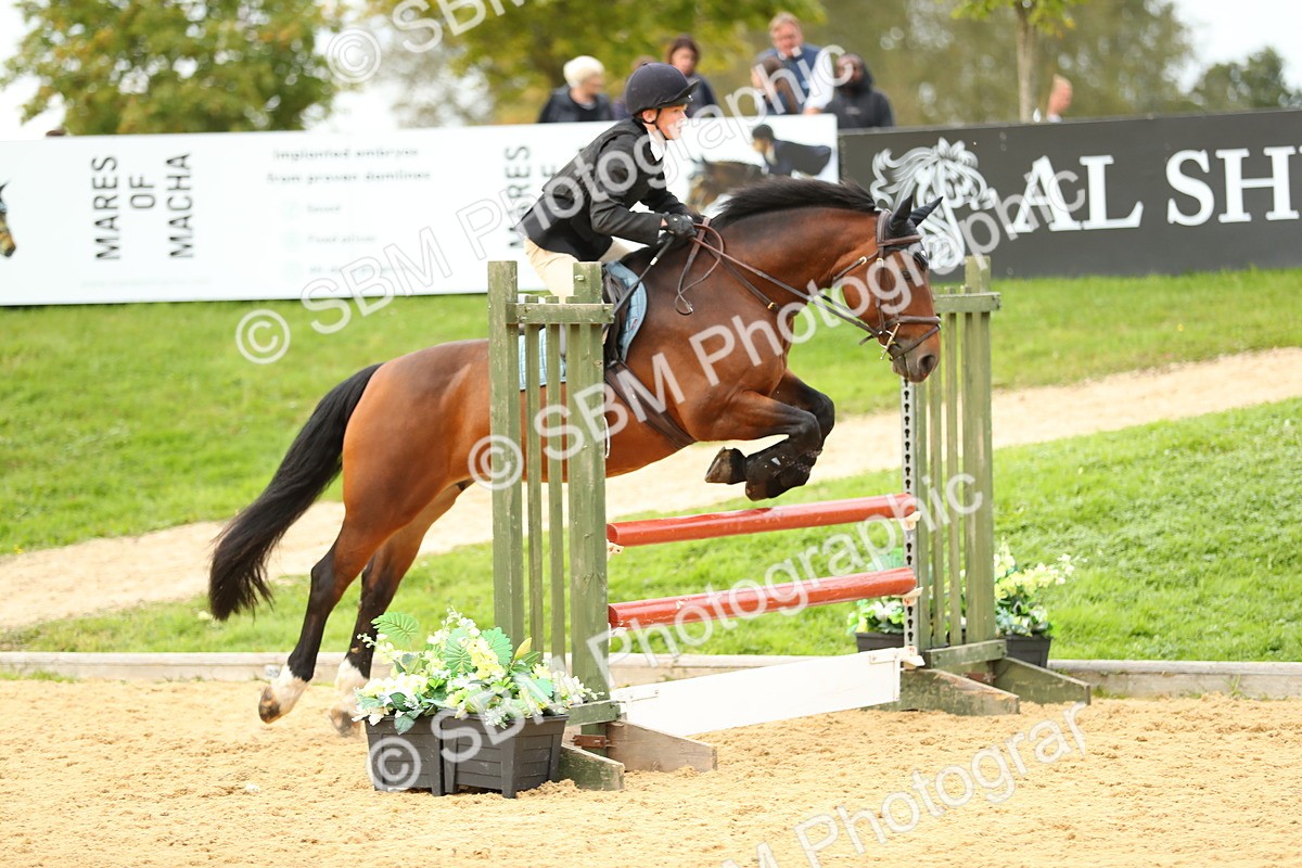 SBM_76023 - J19 - Junior 90cm Supreme Championship