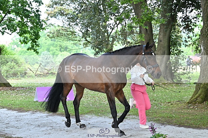 250521A-143727-00127 - A-011-Milly.Assheton-ILEXA