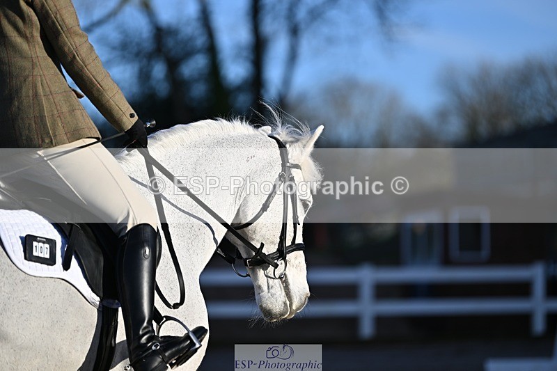 250125-091423-00025 - Dressage - CT Class 1 & 2 Intro 1