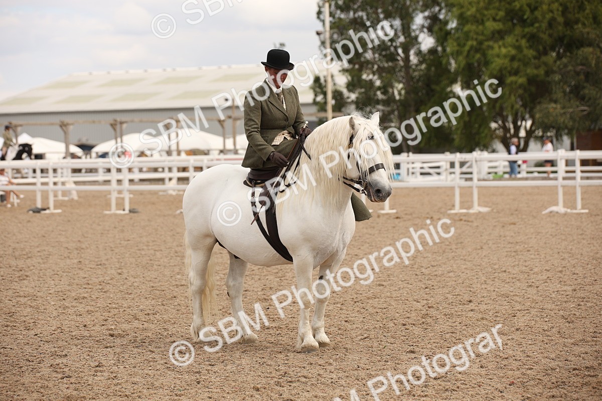 SBM_05407 - Class 22 SSA Equitation