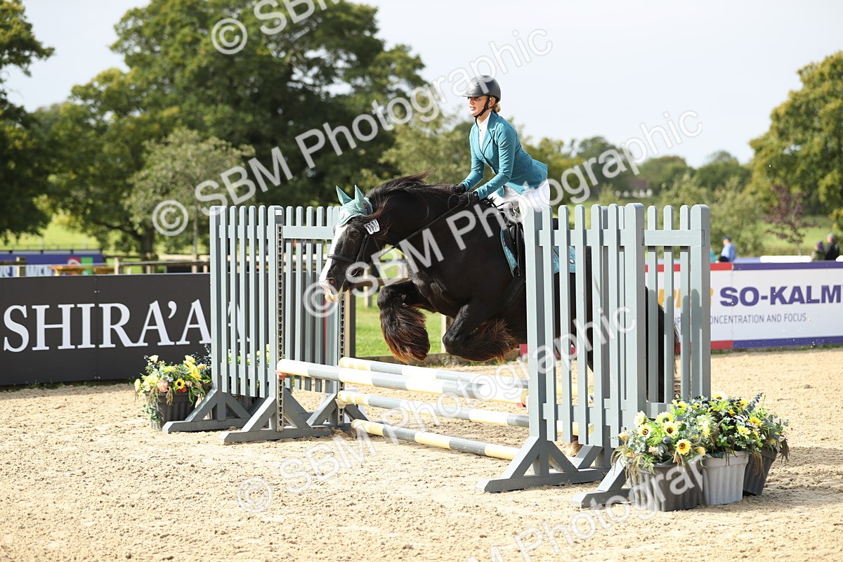SBM_03160 - J28 - Senior Horse & Pony 60cm Championships