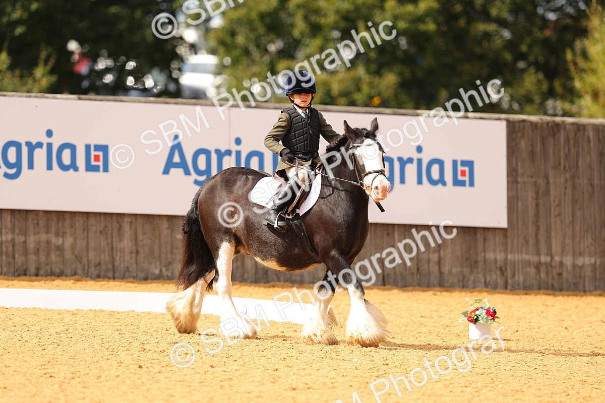 SBM_48228 - D22 - Junior Championship - Intro B
